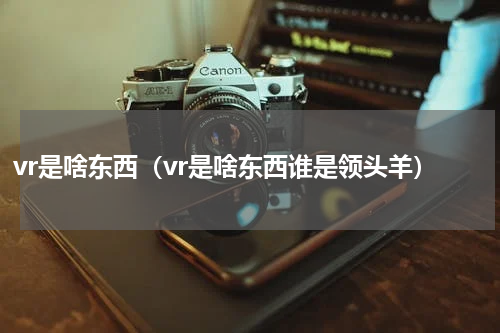 vr是啥东西(vr是啥东西谁是领头羊)