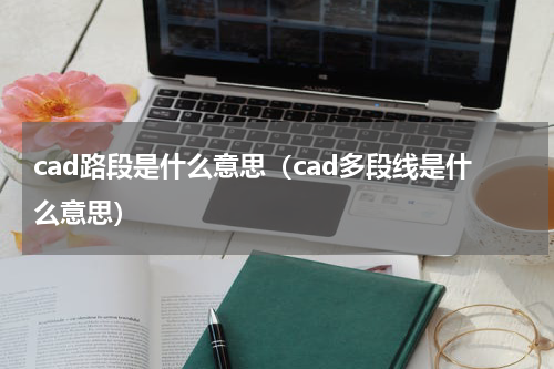 cad路段是什么意思（cad多段线是什么意思）
