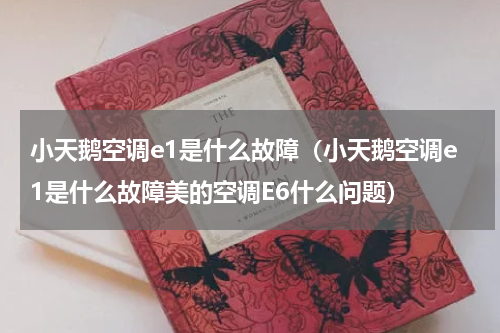 小天鹅空调e1是什么故障（小天鹅空调e1是什么故障美的空调E6什么问题）