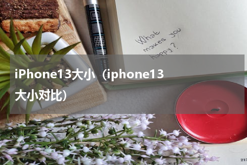 iPhone13大小（iphone13大小对比）