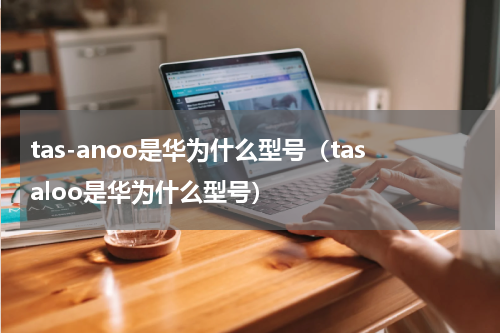 tas-anoo是华为什么型号（tasaloo是华为什么型号）