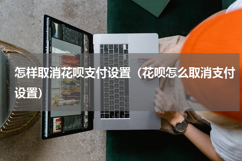 怎样取消花呗支付设置（花呗怎么取消支付设置）