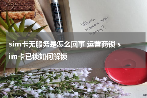 sim卡无服务是怎么回事 运营商锁 sim卡已锁如何解锁