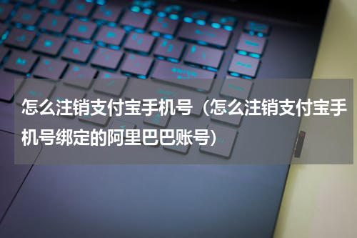 怎么注销支付宝手机号（怎么注销支付宝手机号绑定的阿里巴巴账号）