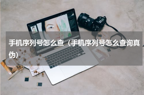 手机序列号怎么查(手机序列号怎么查询真伪)