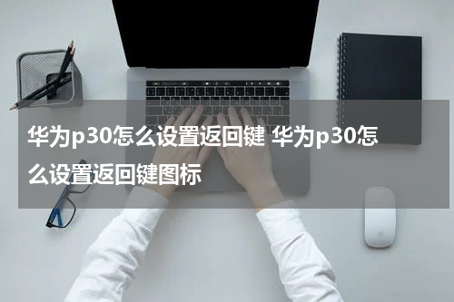 华为p30怎么设置返回键 华为p30怎么设置返回键图标