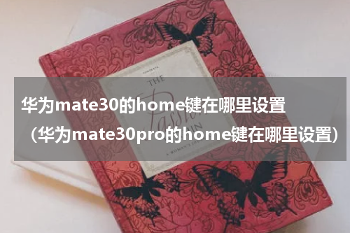华为mate30的home键在哪里设置（华为mate30pro的home键在哪里设置）