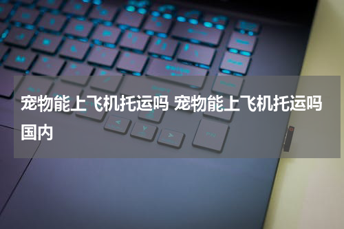 宠物能上飞机托运吗 宠物能上飞机托运吗国内