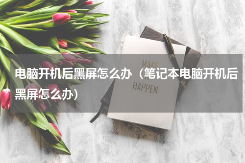 电脑开机后黑屏怎么办（笔记本电脑开机后黑屏怎么办）