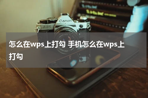 怎么在wps上打勾 手机怎么在wps上打勾