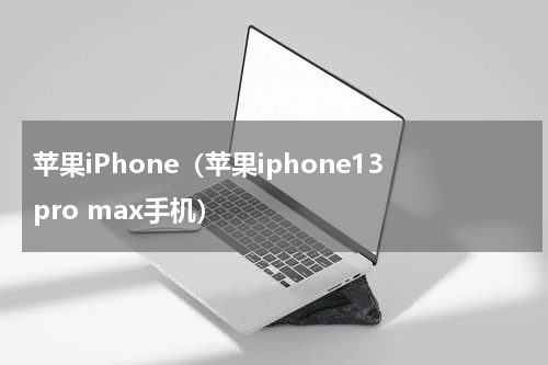 苹果iPhone(苹果iphone13pro max手机)