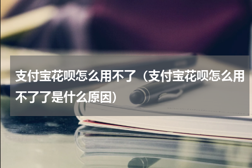 支付宝花呗怎么用不了(支付宝花呗怎么用不了了是什么原因)