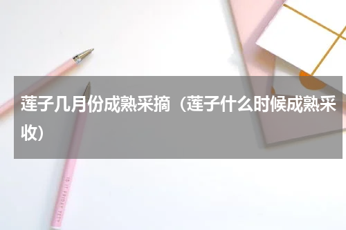 莲子几月份成熟采摘(莲子什么时候成熟采收)