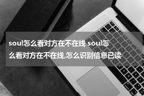 soul怎么看对方在不在线 soul怎么看对方在不在线,怎么识别信息已读