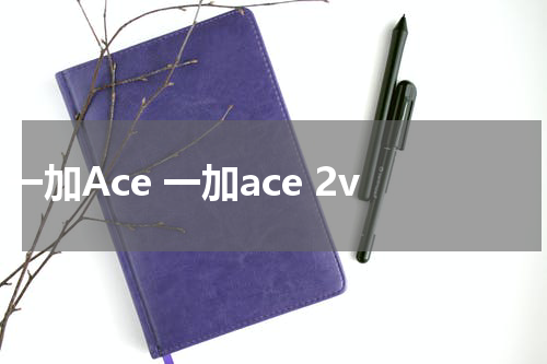 一加Ace 一加ace 2v