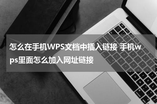 怎么在手机WPS文档中插入链接 手机wps里面怎么加入网址链接