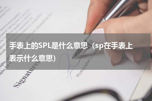 手表上的SPL是什么意思（sp在手表上表示什么意思）