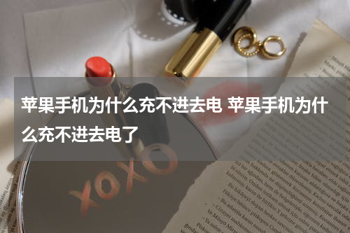 苹果手机为什么充不进去电 苹果手机为什么充不进去电了