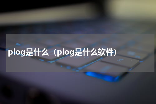 plog是什么（plog是什么软件）