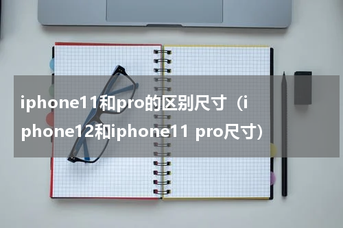 iphone11和pro的区别尺寸（iphone12和iphone11 pro尺寸）
