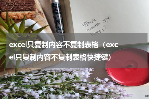 excel只复制内容不复制表格(excel只复制内容不复制表格快捷键)