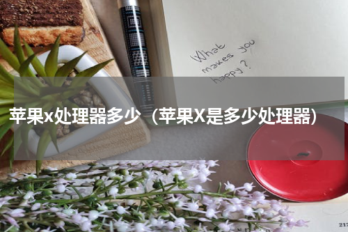 苹果x处理器多少（苹果X是多少处理器）