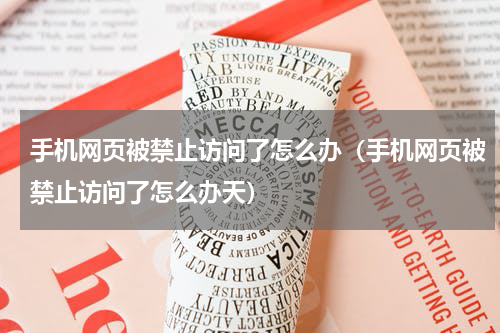 手机网页被禁止访问了怎么办（手机网页被禁止访问了怎么办天）