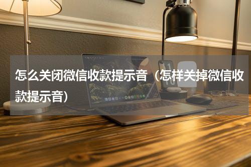 怎么关闭微信收款提示音（怎样关掉微信收款提示音）