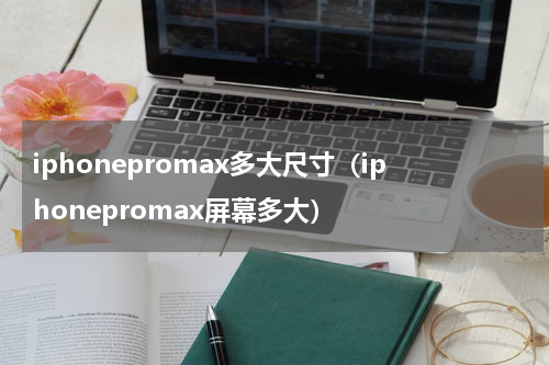 iphonepromax多大尺寸(iphonepromax屏幕多大)