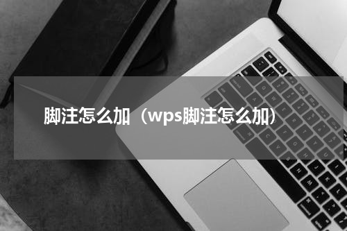 脚注怎么加（wps脚注怎么加）