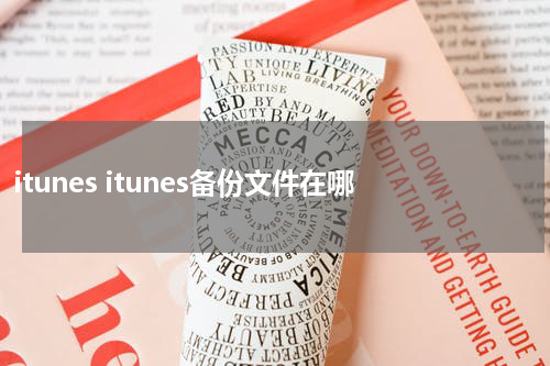 itunes itunes备份文件在哪