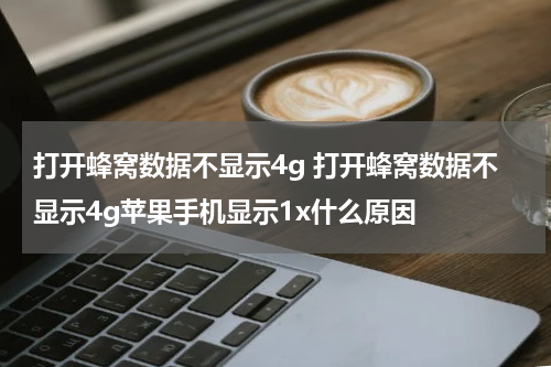 打开蜂窝数据不显示4g 打开蜂窝数据不显示4g苹果手机显示1x什么原因