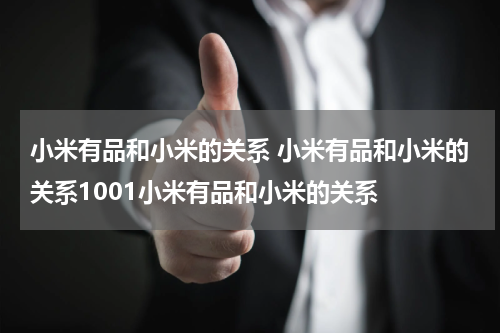 小米有品和小米的关系 小米有品和小米的关系1001小米有品和小米的关系