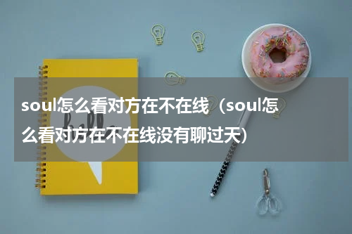 soul怎么看对方在不在线（soul怎么看对方在不在线没有聊过天）