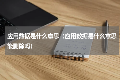 应用数据是什么意思（应用数据是什么意思能删除吗）