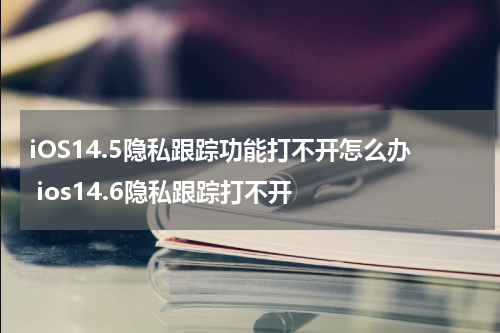 iOS14.5隐私跟踪功能打不开怎么办 ios14.6隐私跟踪打不开