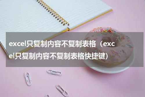 excel只复制内容不复制表格（excel只复制内容不复制表格快捷键）
