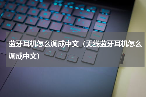 蓝牙耳机怎么调成中文（无线蓝牙耳机怎么调成中文）