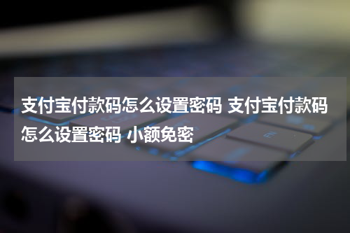 支付宝付款码怎么设置密码 支付宝付款码怎么设置密码 小额免密
