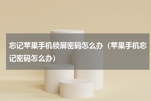 忘记苹果手机锁屏密码怎么办（苹果手机忘记密码怎么办）