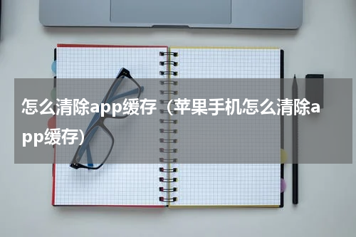 怎么清除app缓存（苹果手机怎么清除app缓存）