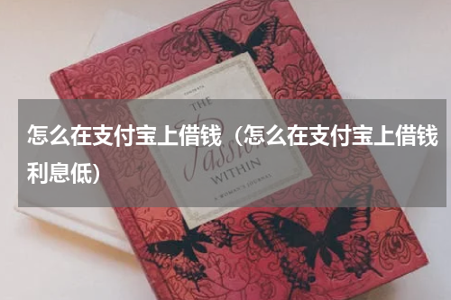 怎么在支付宝上借钱（怎么在支付宝上借钱利息低）
