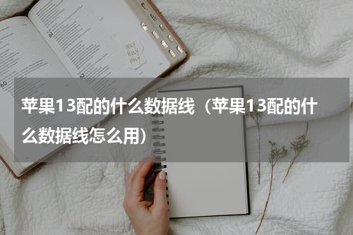 苹果13配的什么数据线（苹果13配的什么数据线怎么用）