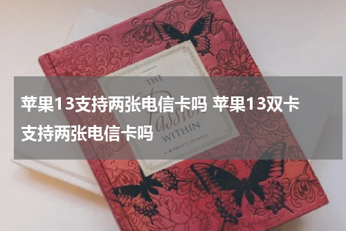 苹果13支持两张电信卡吗 苹果13双卡支持两张电信卡吗