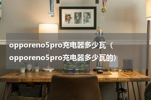 opporeno5pro充电器多少瓦（opporeno5pro充电器多少瓦的）