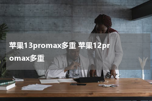 苹果13promax多重 苹果12promax多重