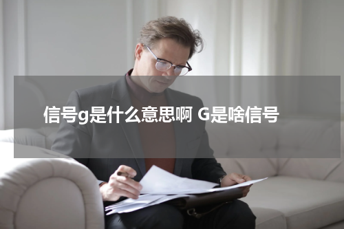 信号g是什么意思啊 G是啥信号