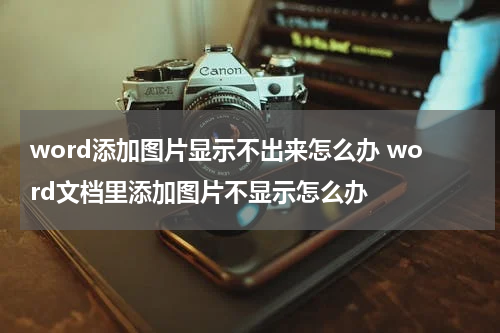 word添加图片显示不出来怎么办 word文档里添加图片不显示怎么办