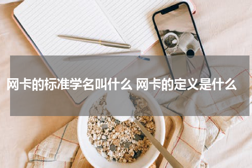 网卡的标准学名叫什么 网卡的定义是什么
