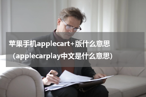 苹果手机applecart+版什么意思(applecarplay中文是什么意思)